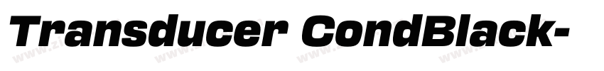 Transducer CondBlack字体转换